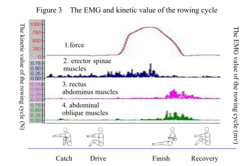 Figure 3    The EMG and kinetic value of the rowing cycle 