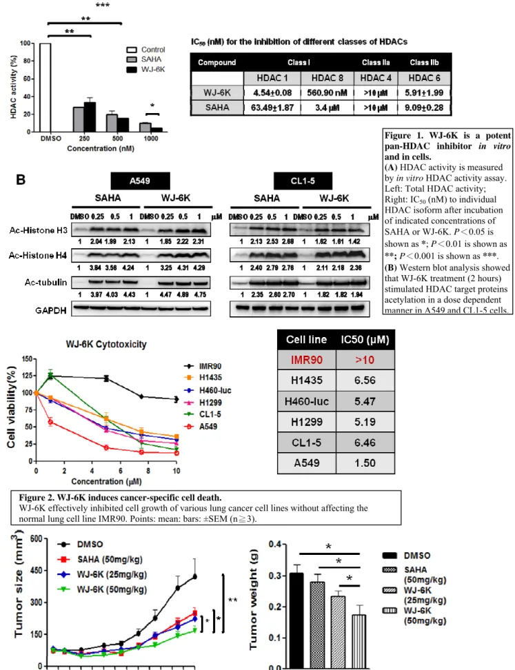 Figure 1. WJ-6K is a potent  pan-HDAC inhibitor in vitro and in cells. 