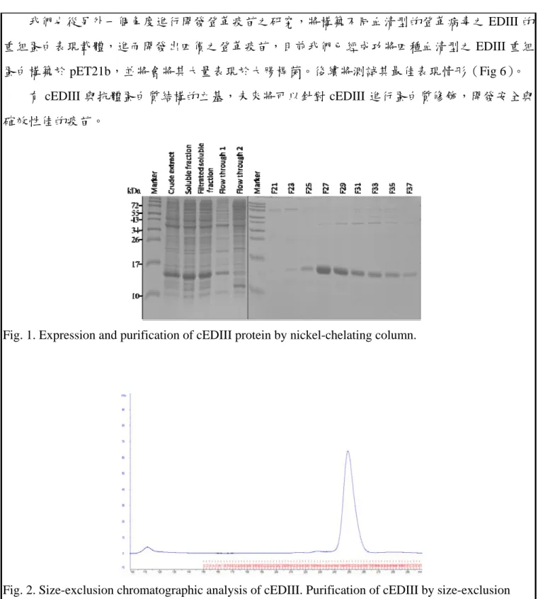 Fig. 1. Expression and purification of cEDIII protein by nickel-chelating column. 