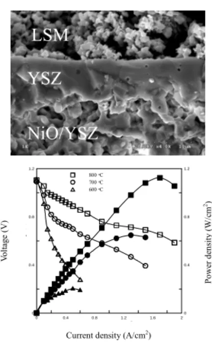 Fig. 27 (a) The SEM microscopy of LSM/WSB/Pt  single cell and (b) the OCV of LSM/WSB/Pt single  cell as function of temperature
