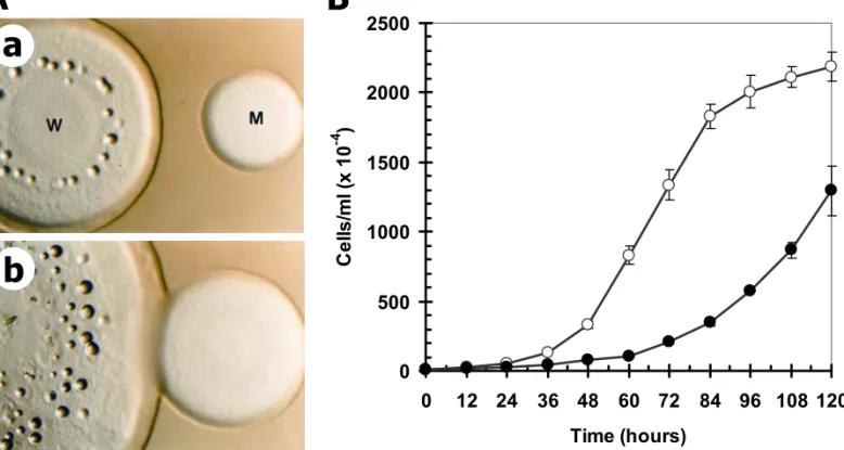 Figure 5 a bA 05001000150020002500 0 12 24 36 48 60 72 84 96 108 120 Time (hours)Cells/ml (x 10-4)B