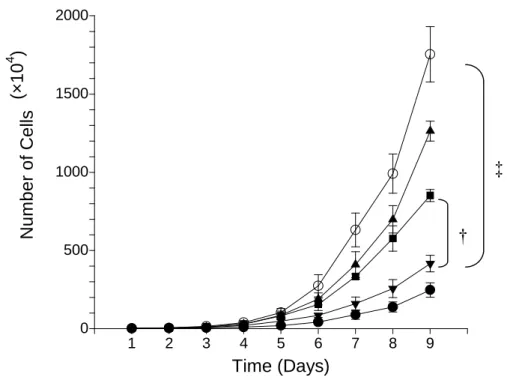 圖 4. EBNA1-expressing vector-control cell lines (V1, V2)和 parental HONE-1 cell line 的 生長情形 0 500100015002000 1 2 3 4 5 6 7 8 9 Time (Days)NumberofCells