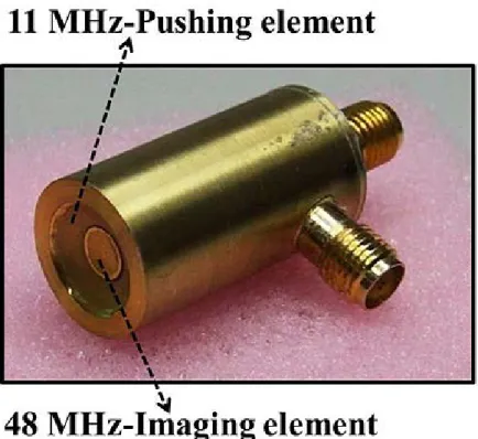Figure 1 Dual elements transducer