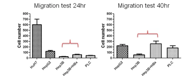 Figure 3. Comparison of the migration activity of different hepatoma cell lines.   