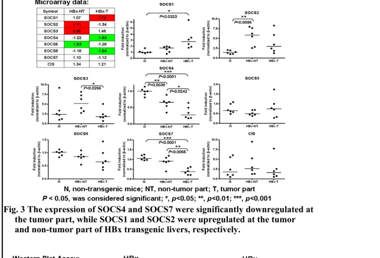Fig. 3 The expression of SOCS4 and SOCS7 were significantly downregulated at        the tumor part, while SOCS1 and SOCS2 were upregulated at the tumor        and non-tumor part of HBx transgenic livers, respectively.
