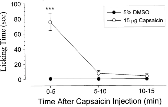 Fig. 6. Time course of paw licking of the injected paw after the intradermal injection  of capsaicin into the dorsal surface of the rat left hindpaw