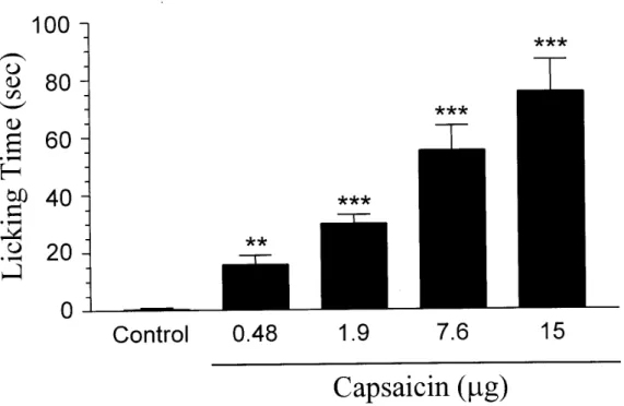 Fig. 7. Capsaicin dose-dependently induces the nociceptive response . Each bar  represents the amount of time (sec) the animals spent licking the injected paw during  a 5 min observation period (mean ± SEM of 6-7 rats in each group)