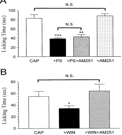 Fig. 10. PS does not act via the CB1 mechanism to inhibit capsaicin-induced  nociceptive response