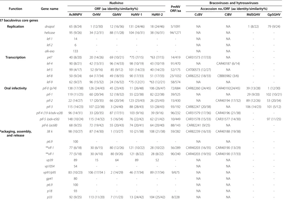 Table 2 Cross reference of the 37 conserved and 4 other baculovirus genes from AcMNPV with their homologs in the nudiviruses (OrNV, GbNV, HzNV-1 and HzNV-2) and PmNV