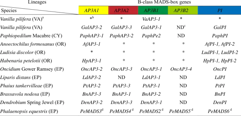 Table 1. AP3 and PI lineages identified in this study. 