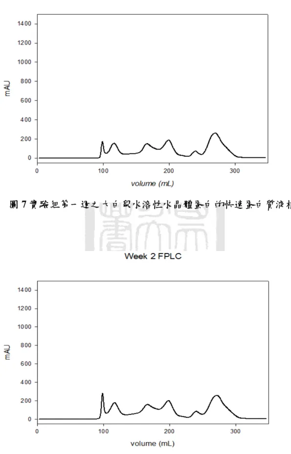 圖 7 實驗組第一週之大白鼠水溶性水晶體蛋白的快速蛋白質液相層析圖 