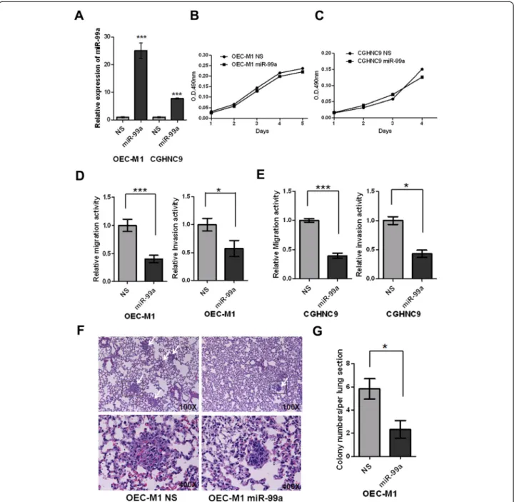 Figure 2 Ectopic miR-99a expression suppressed migration, invasion and lung colonization