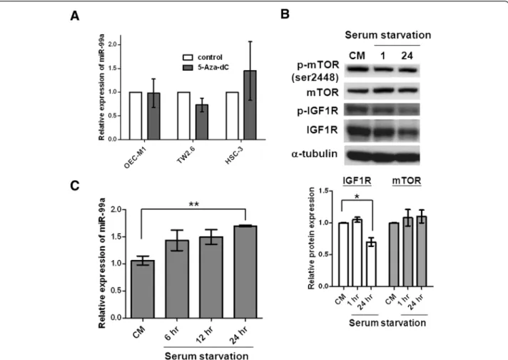 Figure 5 Regulation of miR-99a expression in different culture conditions. (A) The levels of miR-99a expression in OEC-M1, TW2.6, and HSC3 oral cancer cells treated with 5 μM 5-Aza-dC for 96 hours were determined using qRT-PCR analysis