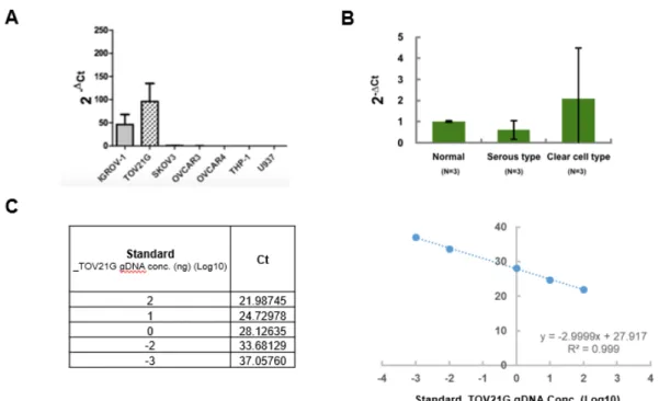 Figure 1. Human FXYD2  gene expression in OCCC is higher than non-OCCC.  (A)  FXYD2  gene  expression in human cell lines