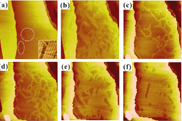 Figure 2. Wide-area STM images (200 × 200 nm 2 ) showing the adsorption behavior of MHO on an Au (111) surface