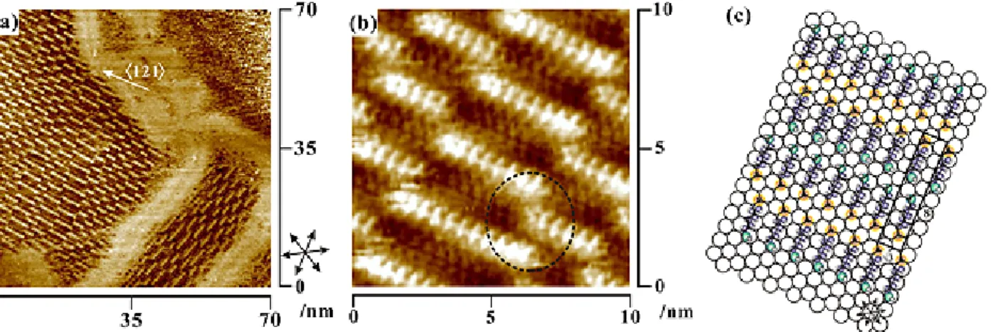 Figure 3. High-resolution STM images (a, b) and the corresponding model proposed (c) for the striped  phase of the MHO adlayer on Au(111)