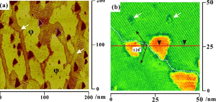 Figure 4. MHO adlayer from striped phase to a more condensed structure (φ phase) after elevating the  potential from 0.28 to 0.35 V