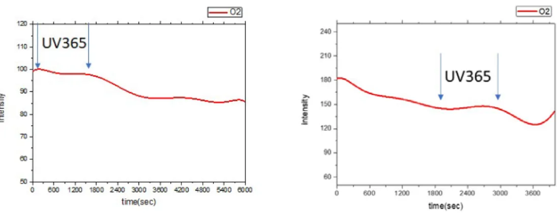 Figure 2. RSHG intensity v.s. the time of the oxidation process. 