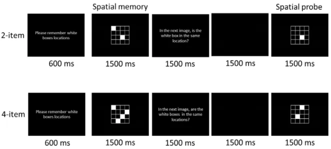 Figure 1. Schematic of the visuospatial working memory task. 