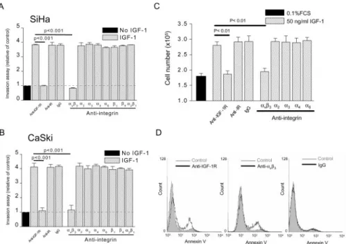 Fig. 4. IGF-1-stimulated invasion and proliferation were abolished by blocking antibody against a-subunit of IGF-1R or a v b 3 integrin