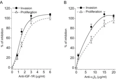 Fig. 6. Molecular mechanisms by which a v b 3 integrin regulates IGF-1R signalings. (A) No physical association of IGF-1R with a v b 3 integrin in response to IGF-1 (50 ng/ml) stimulation