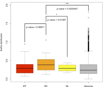 Figure 6. Box plot comparing the Ka/Ks ratios of ET, EC, and DL gene sets and rice genome