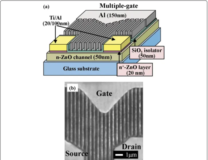 Figure 1 Schematic configuration (a) and SEM image (top view) (b) of multiple-gate ZnO MOSFETs.