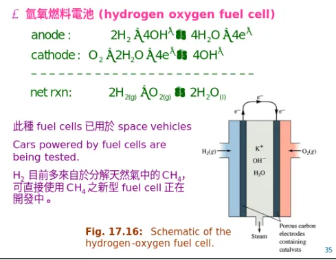 Fig. 17.16: Schematic of the  hydrogen-oxygen fuel cell.