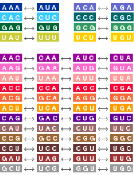 Figure   2.   Symmetries   of   the   diamond   code   sort   the   64   codons   into   20   classes, indicated here by 20 colors