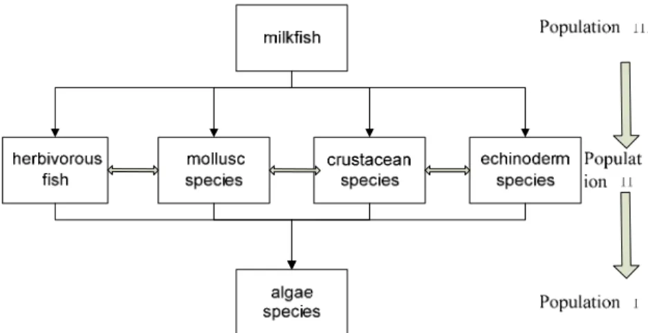 Figure 1. Interrelationships among three populations.