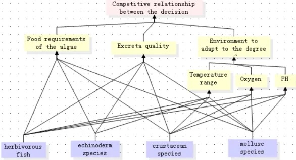 Figure 3. AHP stratification diagram.