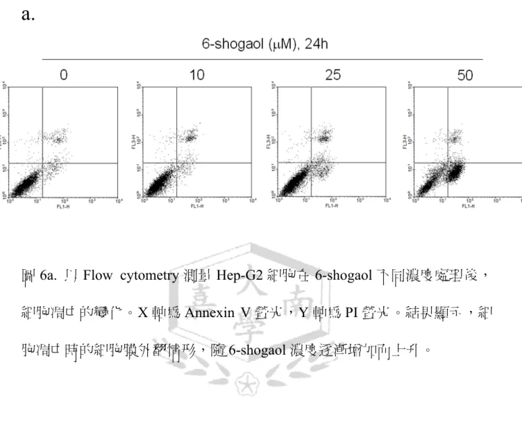 圖 6a.  以 Flow cytometry 測量 Hep-G2 細胞在 6-shogaol 不同濃度處理後，