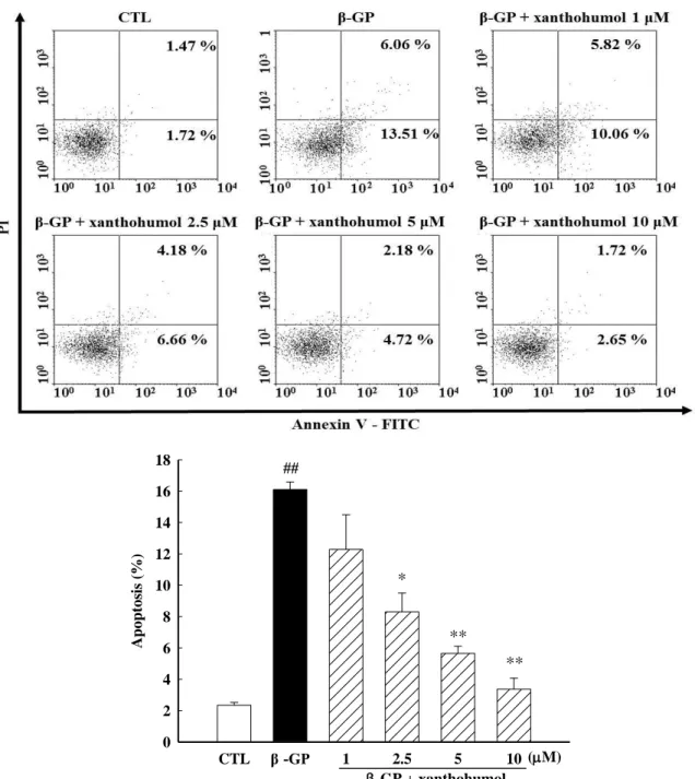 Fig. 10 Xanthohumol suppresses β-GP-induced apoptosis. Cells were cultured with or without β-GP in the  presence or absence of different concentrations of xanthohumol for 3 days