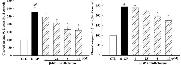 Fig.  11  Xanthohumol  suppresses  -GP-induced  activation  of  caspases.  Representative  Western  blot  of  caspase-3  and  -9