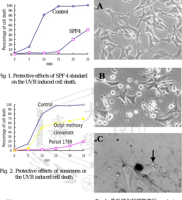 Fig. 1. Protective effects of SPF 4 standard on the UVB induced cell death.