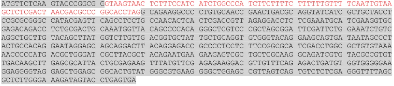 Figure S2. Corrected annotation of AN11200. Intron is shown in red. 