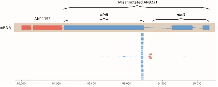 Figure S3. CAGE RNA-seq data showing the transcription start site for alnR. The AspGD gene  models for AN11192 and AN9221 are shown