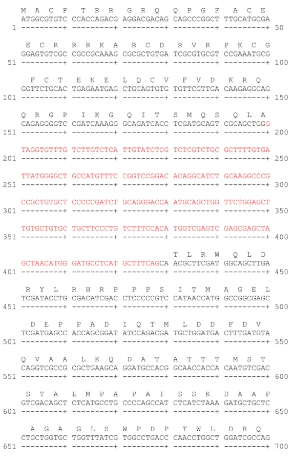 Figure S1. Correct coding sequence for afoA and corresponding amino acid sequence of its  protein product (AfoA)