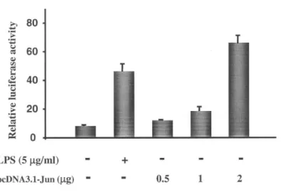 Figur e 5. Dose-dependent effect of pcDNA3.1-J un on the lucifer ase activity of vector  IG553  bear ing IL-10 pr omoter .