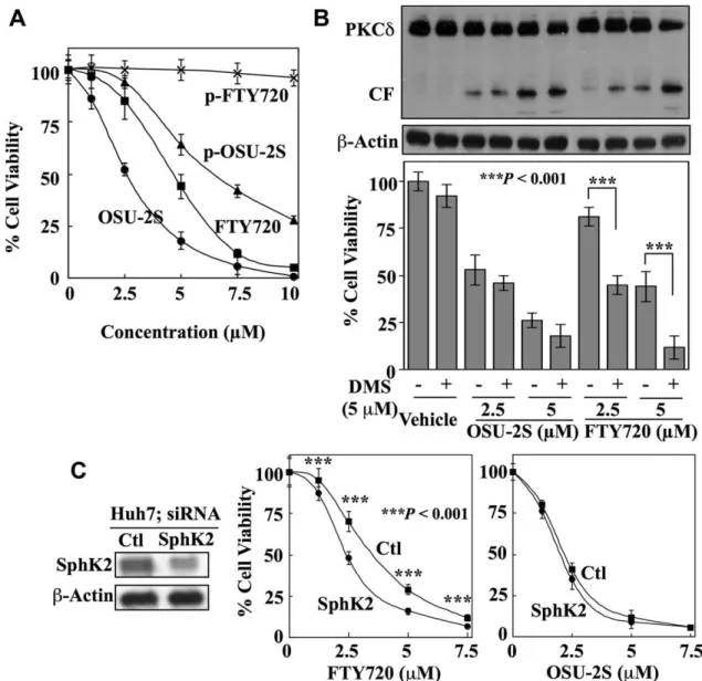 Fig. 7. Evidence that SphK2-mediated phosphorylation of FTY720 may underlie its lower antiproliferative potency relative to OSU-2S