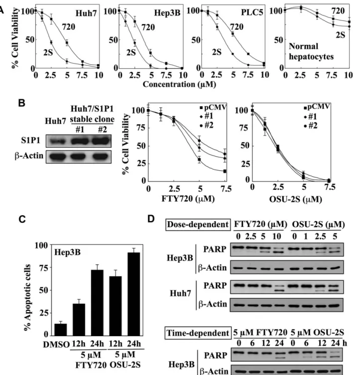 Fig. 2. OSU-2S exhibits a higher potency than FTY720 in inducing apoptotic death in HCC cells independent of sphingosine-1-phosphate 1 (S1P1) receptor agonist activity