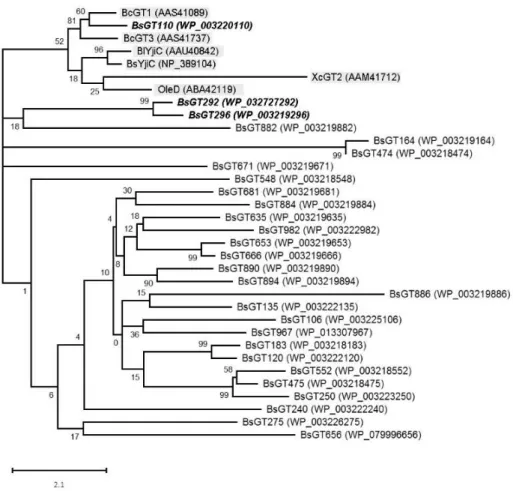 Figure  2.  Unrooted  phylogenetic  analysis  of  glycosyltransferase  genes  by  using  the  maximum  likelihood method