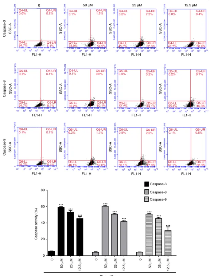 Figure 4. Effects of pterostilbene on the activity of caspase-3, -8, and -9 in H520 cells
