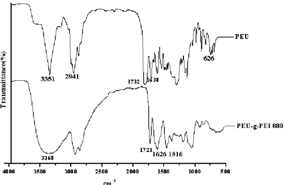 Figure 1. FT-IR spectra of the synthesized PEU and PEU-g-PEI800.