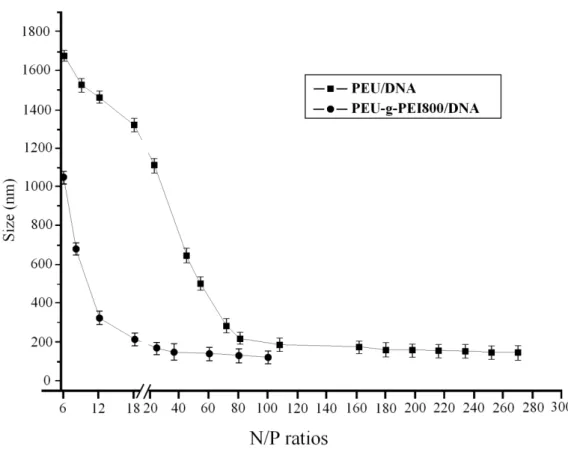 Figure 2. Sizes of PEU / DNA and PEU-g-PEI 800 / DNA complexes prepared at different N/P ratios