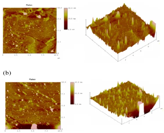 Figure 10.The AFM (atomic force microscopy) images of (a)PEU/DNA (b)PEU-g-PEI800/DNA