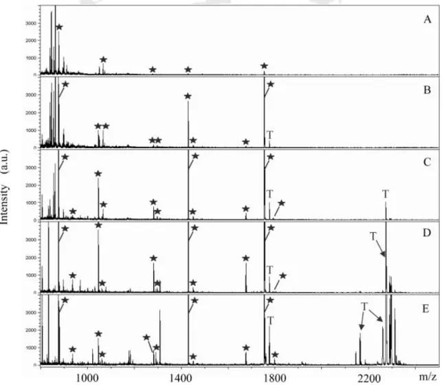 Figure 2 illustrates the mass spectra obtained after using 1 mg/mL trypsin for solution digestion in the presence and absence of lysozyme (10 6 M) without any pretreatment at 378C in a water bath for 10 min