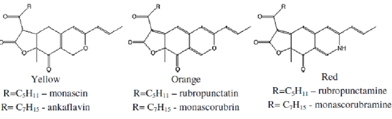 圖  3  紅麴黃、橙、紅色素的化學結構圖 