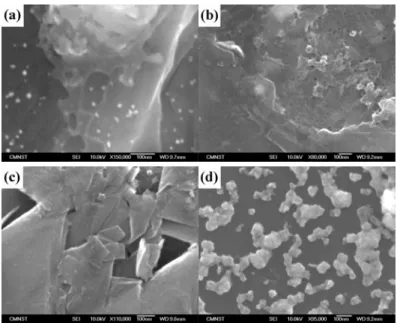 Fig. 7 C SEM (at 10 kV) of metal particles distribution in the graphite surfaces: (a) Cd  / graphite (b) Pb/ graphite (c) Zn/ graphite (d) Sb/ graphite electrodes 