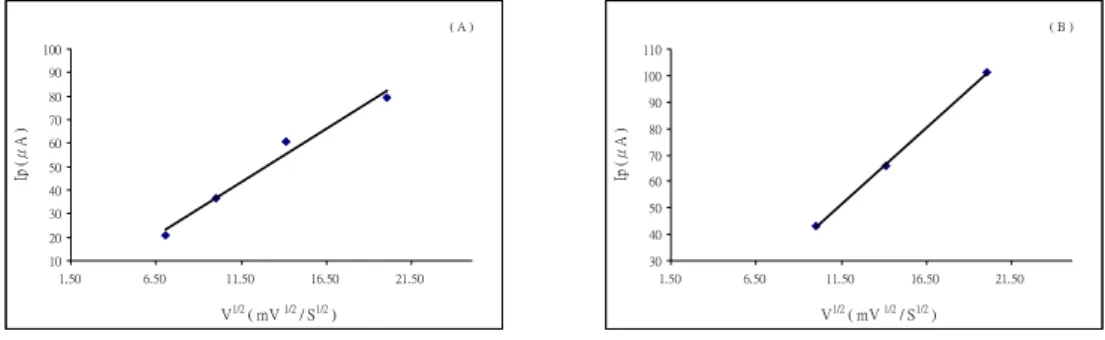 Fig. 5 Magnitude of the peak current, i p , for Co-piloacrpine reduction as a function of  square root of scan rate (A) first wave at -0.882 V; (B) second wave at-1.369 V